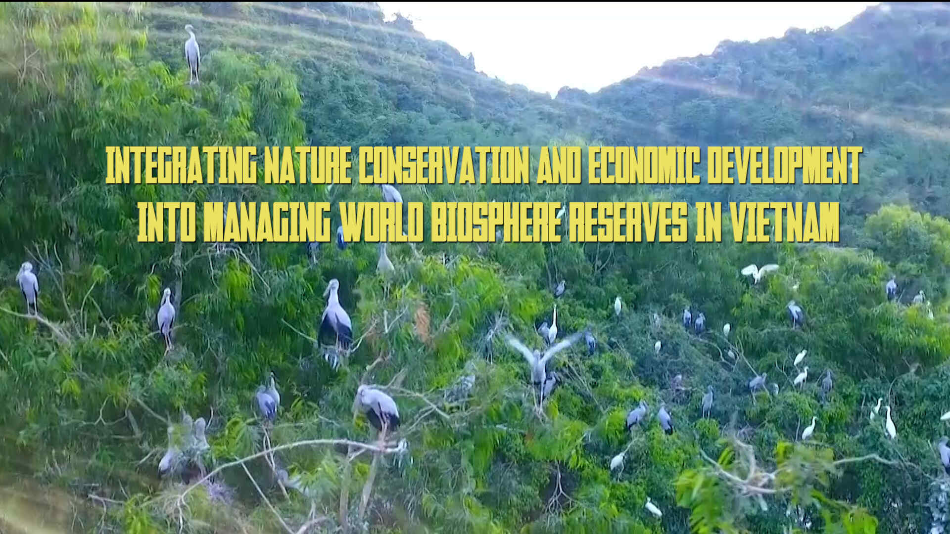 Integrating nature conservation and economic development into managing World Biosphere Reserves in Vietnam